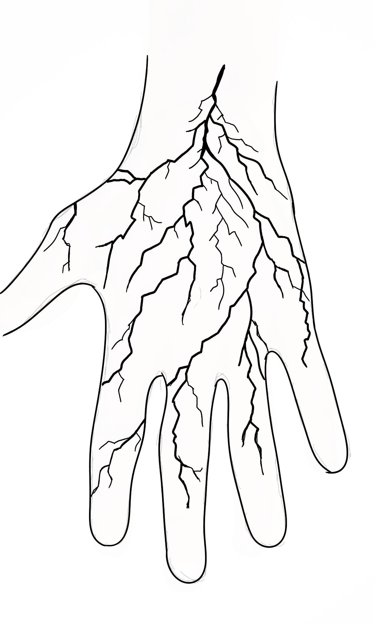 Diseño 3